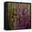 Feng Shui Cane Hot Pink-Herb Dickinson-Framed Premier Image Canvas