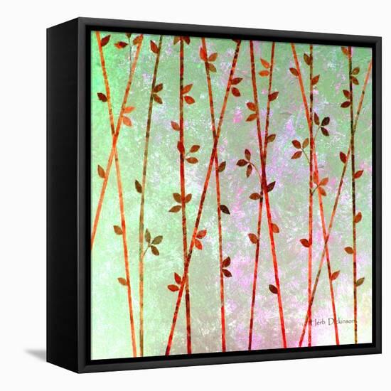 Feng Shui Cane Red-Herb Dickinson-Framed Premier Image Canvas