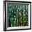 Feng Shui Cane-Herb Dickinson-Framed Photographic Print