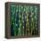 Feng Shui Cane-Herb Dickinson-Framed Premier Image Canvas