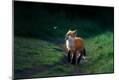 Premium Giclee Print