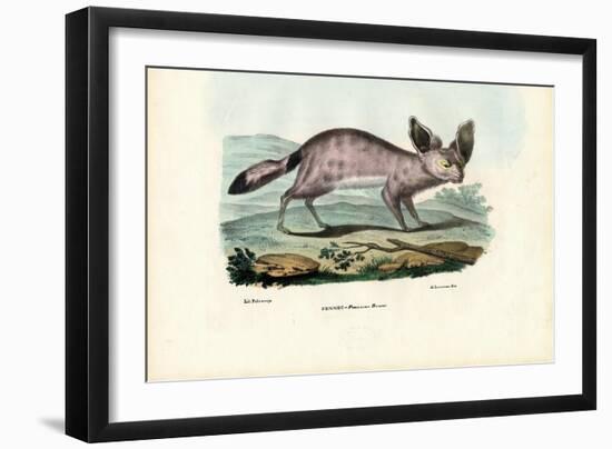 Fennec, 1863-79-Raimundo Petraroja-Framed Giclee Print