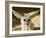 Fennec (Desert Fox)-Nico Tondini-Framed Photographic Print