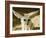 Fennec (Desert Fox)-Nico Tondini-Framed Photographic Print