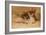 Fennec Fox - Canis Cerdo-Joseph Wolf-Framed Giclee Print