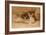 Fennec Fox - Canis Cerdo-Joseph Wolf-Framed Giclee Print