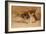 Fennec Fox - Canis Cerdo-Joseph Wolf-Framed Giclee Print