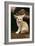 Fennec Fox Sitting-null-Framed Photographic Print