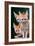 Fennec Foxes-Lantern Press-Framed Art Print