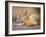 Fennec, North Africa-Adam Jones-Framed Photographic Print