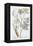 Fennel, 1782-Elizabeth Blackwell-Framed Premier Image Canvas