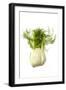 Fennel-null-Framed Photographic Print