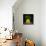 Fennel-Wieteke De Kogel-Photographic Print displayed on a wall