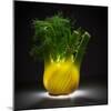 Fennel-Wieteke De Kogel-Mounted Photographic Print