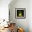 Fennel-Wieteke De Kogel-Framed Photographic Print displayed on a wall