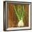 Fennel-Gigi Begin-Framed Giclee Print