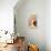 Fentimans Pink Ginger-Studio Mandariini-Framed Premier Image Canvas displayed on a wall
