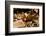 Fer-de-lance (Bothrops lanceolatus) captive, endemic to Martinique.-Daniel Heuclin-Framed Photographic Print