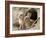 Feral Domestic Rabbit (Oryctolagus Cuniculus) Babies At Burrow-Yukihiro Fukuda-Framed Photographic Print