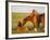 Feral Horse in the High Sagebrush Country East of Cody, Wyoming, USA-Larry Ditto-Framed Photographic Print