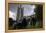 Feral Pigeons (Columba Livia) Outside the Houses of Parliament in Westminster. London, UK-Sam Hobson-Framed Premier Image Canvas