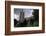 Feral Pigeons (Columba Livia) Outside the Houses of Parliament in Westminster. London, UK-Sam Hobson-Framed Photographic Print