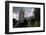 Feral Pigeons (Columba Livia) Outside the Houses of Parliament in Westminster. London, UK-Sam Hobson-Framed Photographic Print