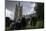 Feral Pigeons (Columba Livia) Outside the Houses of Parliament in Westminster. London, UK-Sam Hobson-Mounted Photographic Print