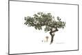 Premium Giclee Print