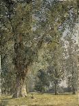 Vue du Prater à Vienne (avec arbre à droite)-Ferdinand Georg Waldmüller-Framed Giclee Print