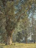Vue du Prater à Vienne (avec arbre à droite)-Ferdinand Georg Waldmüller-Framed Premier Image Canvas
