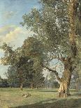 View from the Prater in Vienna (With Tree at Left)-Ferdinand Georg Waldmüller-Giclee Print