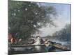 Premium Giclee Print