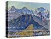 Stretched Canvas Print