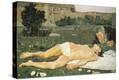 Stretched Canvas Print