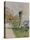 Stretched Canvas Print