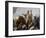 Ferdinand I of Aragon-null-Framed Giclee Print