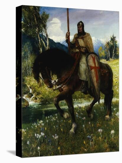 Stretched Canvas Print, , large