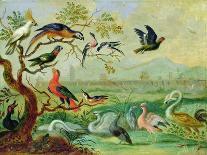 Animals and Birds in the Garden of Eden-Ferdinand van Kessel-Giclee Print