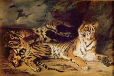 Young Tiger Playing with His Mother, 1830 (Oil on Canvas)-Ferdinand Victor Eugene Delacroix-Giclee Print
