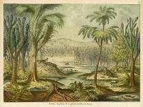 The Island of Saint-Paul in the Indian Ocean: a Former Volcano-Ferdinand Von Hochstetter-Art Print