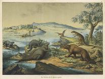 Animals (Including Homo Sapiens) at the Time of the Flood-Ferdinand Von Hochstetter-Framed Art Print