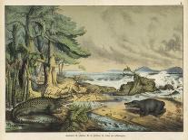 Life-Forms of the Paleozoic Epoch-Ferdinand Von Hochstetter-Art Print