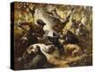 Stretched Canvas Print