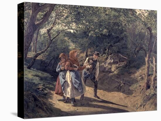 Stretched Canvas Print, , large