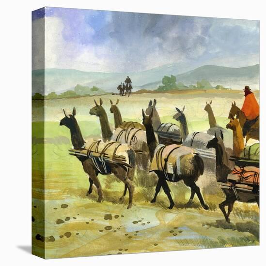 Stretched Canvas Print, , large