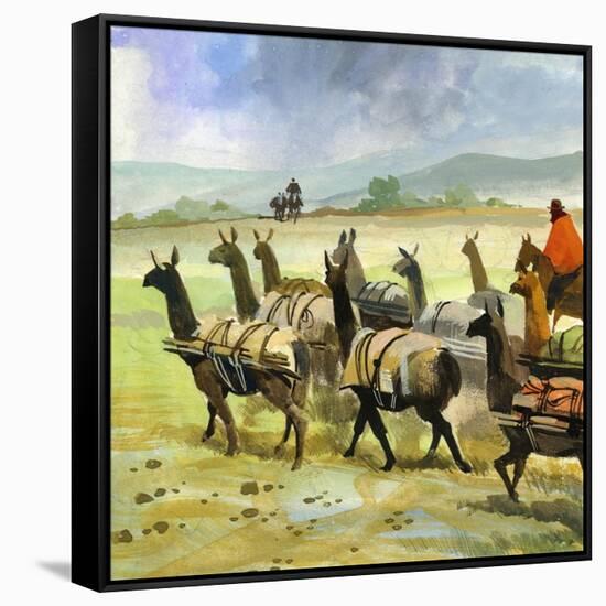 Stretched Canvas Print, , large