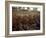 Fermenting vessels at Tetley's brewery, Leeds, West Yorkshire, 1968-Michael Walters-Framed Photographic Print