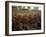 Fermenting vessels at Tetley's brewery, Leeds, West Yorkshire, 1968-Michael Walters-Framed Photographic Print