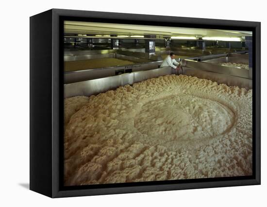 Fermenting vessels at Tetley's brewery, Leeds, West Yorkshire, 1968-Michael Walters-Framed Premier Image Canvas